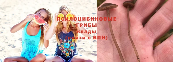 МДПВ Абинск
